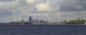 City View_opt