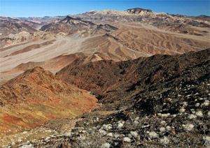 roughterrain
