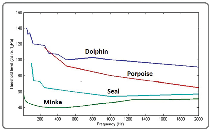 The hearing thresholds are for dolphins, minke whales, porpoises, and seals. Analysis was conducted in COMSOL Multiphysics.