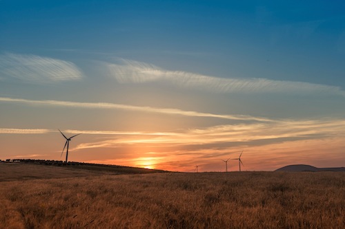 Gamesa wind farm (1)