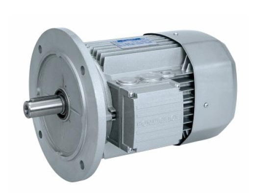 The motors meet standards of IE3 efficiency class, according to the international standard IEC 60034-30.