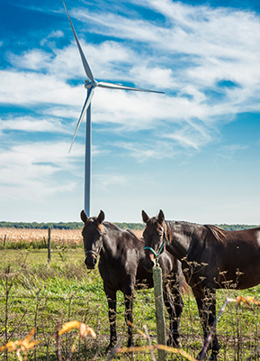Siemens will install and commission 40 SWT-3.2-113 direct-drive wind turbine for the Grand Bend wind power plant in Ontario, Canada.