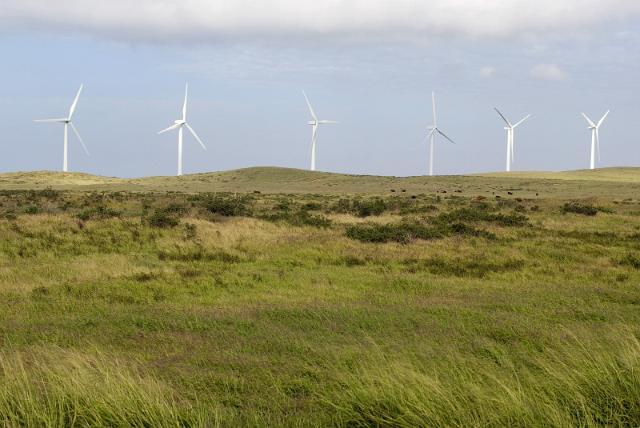 New report expects another strong year for the U.S. with more than 9 GW of wind power additons.