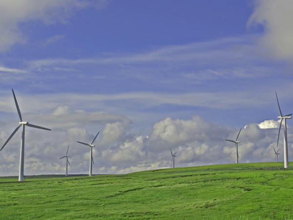 windfarm_q