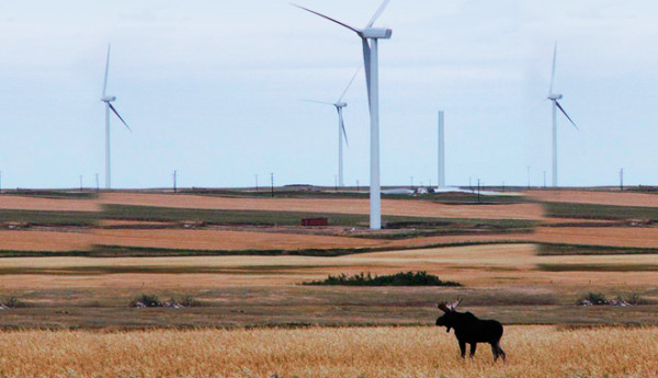 A new poll shows that Saskatchewan residents in Canada strongly support more wind energy.