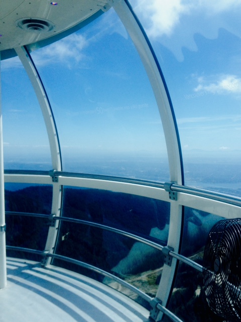 Grouse turbine 2
