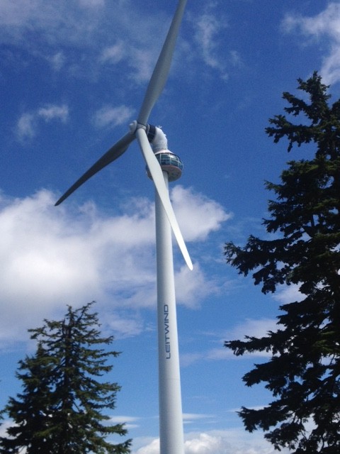 Grouse turbine