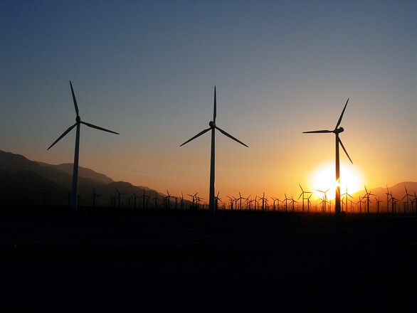 brazilwind_job