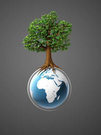 environment-1236246