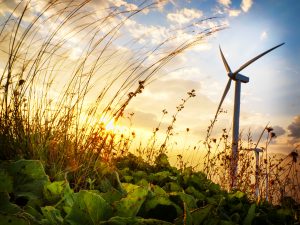 The 30MW portfolio consists of two sites in British Columbia, which will use five 3.2MW Senvion wind turbines on each site.