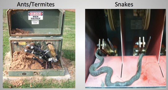 Depending on a wind farm’s location, opening the door of a substation to find a snake (or other critter) is one of the potential hazards of the job for a balance-of-plant technician or electrician. Even ants and termites can infest and ruin expensive electrical equipment.