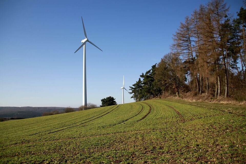 The tribunal ruled that the Government of Ontario "on the whole did relatively little to address the scientific uncertainty surrounding offshore wind that it relied upon as the main publicly cited reason for the moratorium."