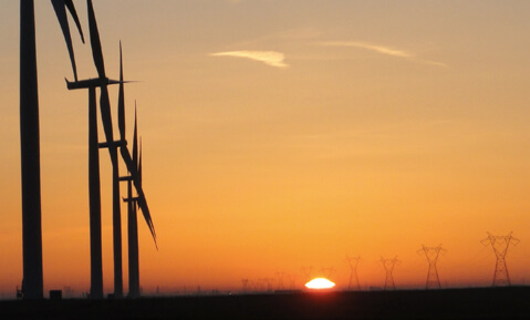 Wind farm and transmission lines