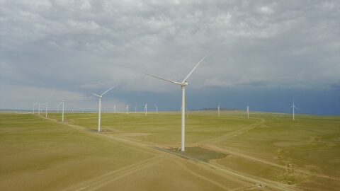 Tsetsii Wind Farm