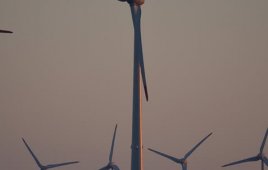 Wind farm repowering