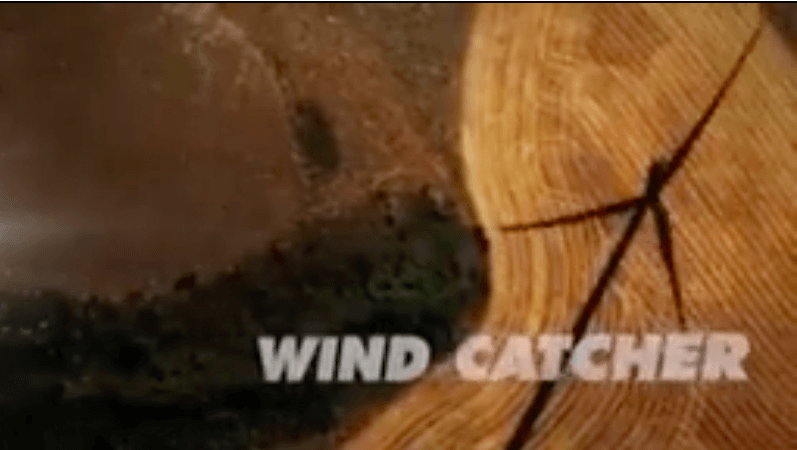 Wind Catcher project