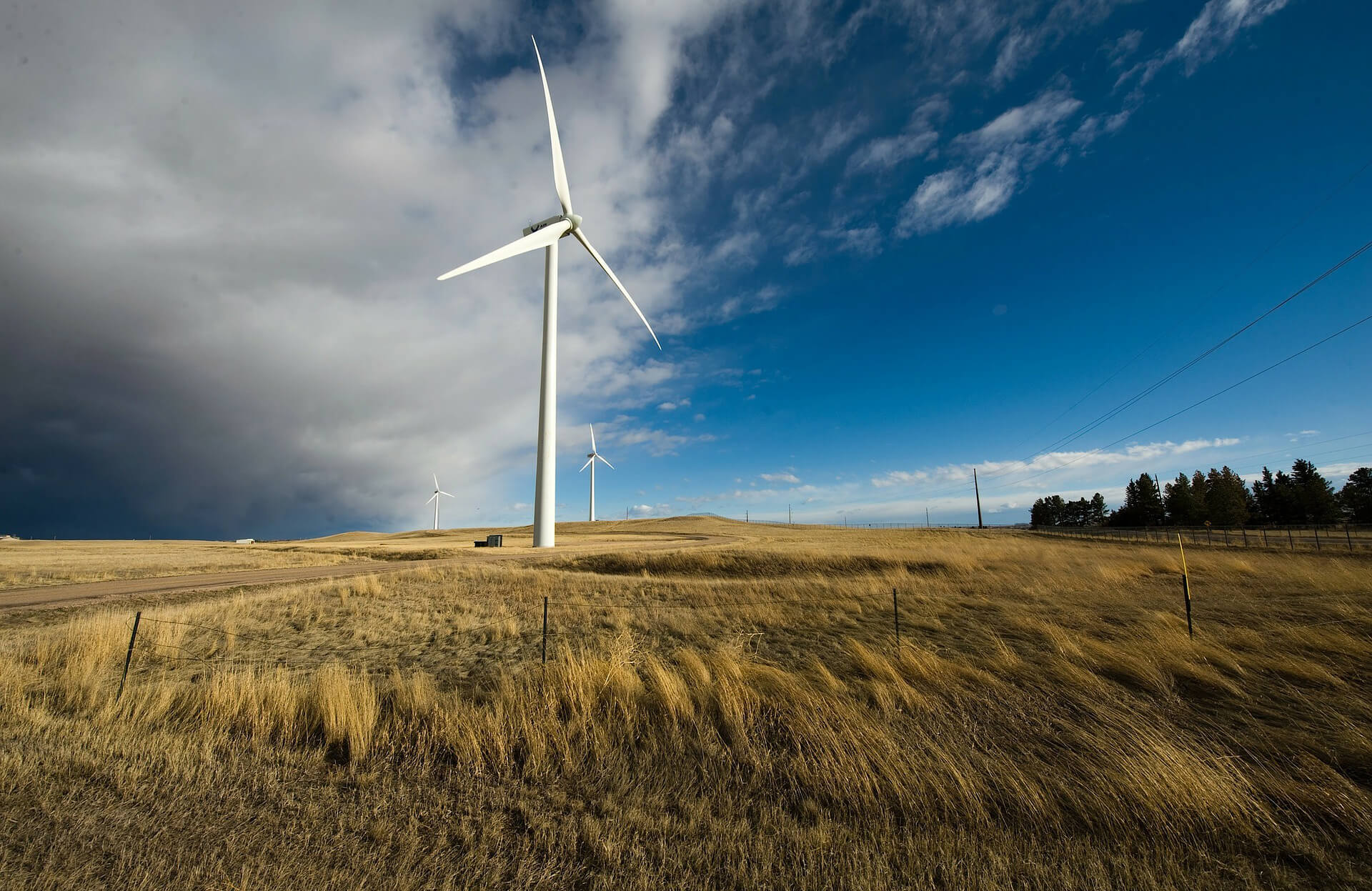 wind farm
