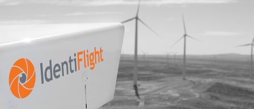 The IdentiFlight system blends artificial intelligence with the high-precision optical technology to detect eagles and protect them from collisions with rotating wind-turbine blades. 