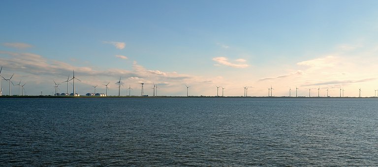 Offshore wind farm