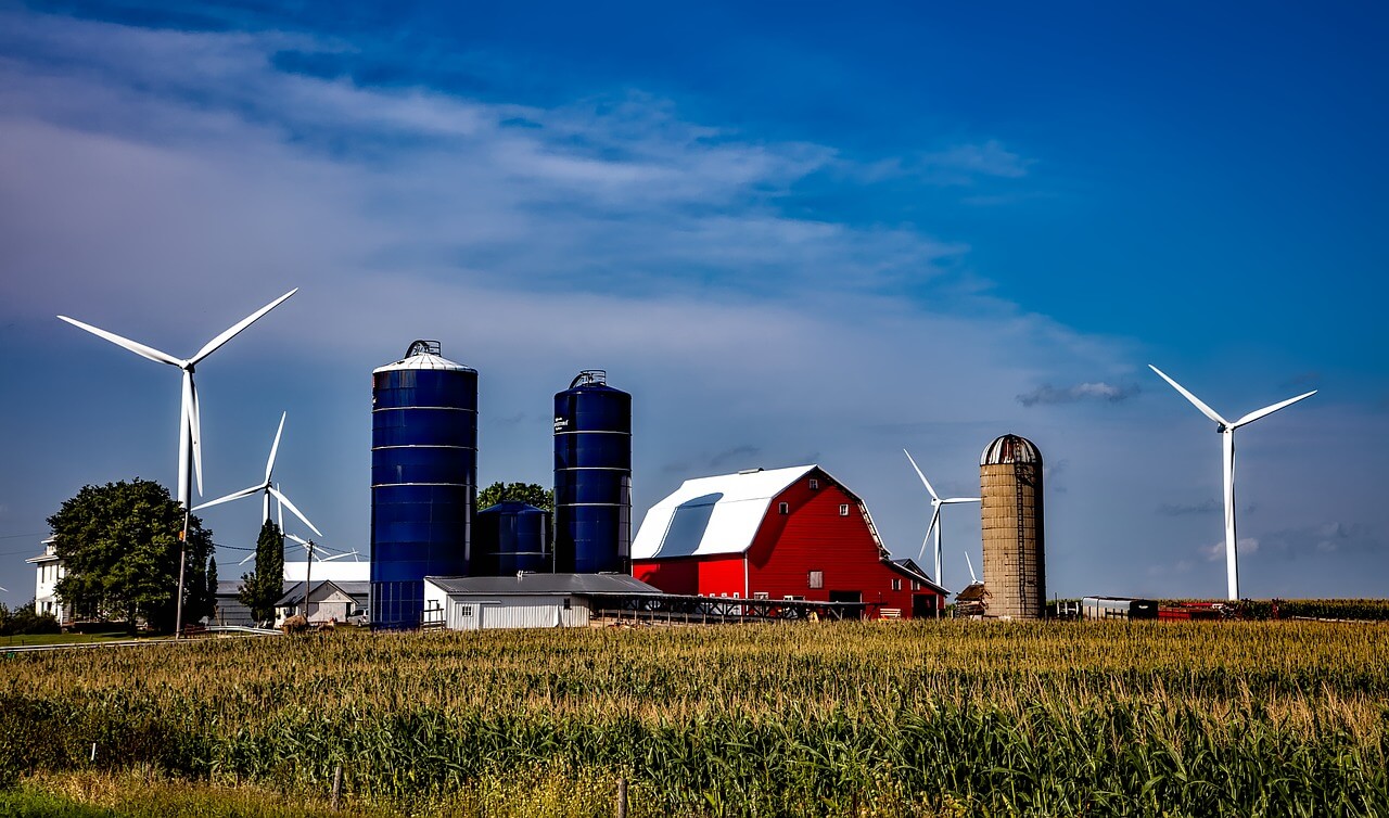 wind farm