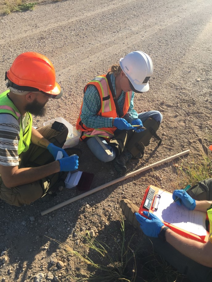 Searchers evaluate bat take at the Los Vientos Wind Energy Facility. Image courtesy of Sarah Perry.