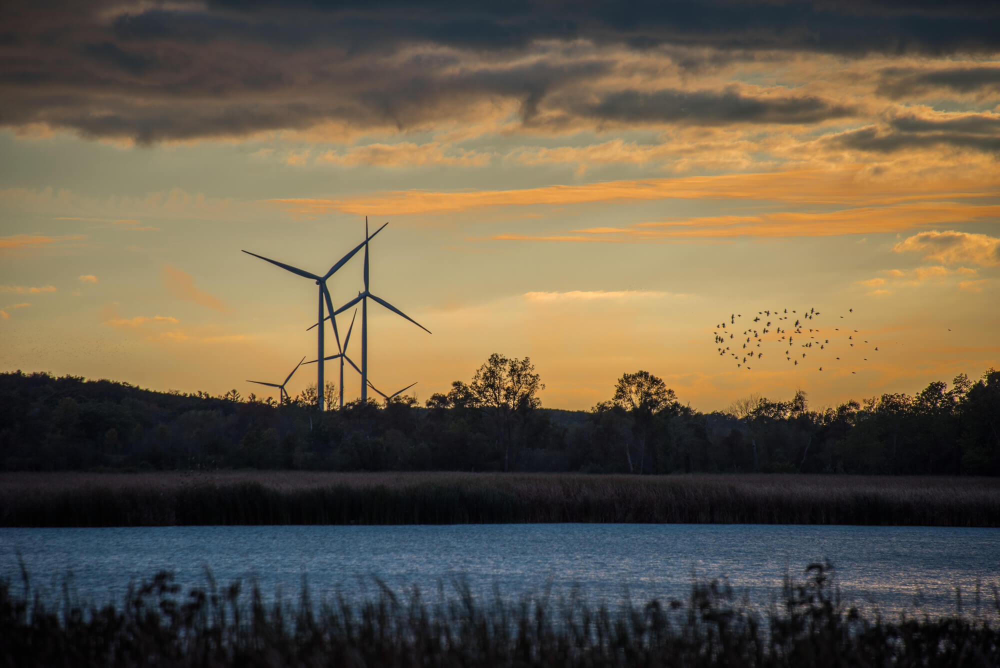 Siemens Canada received the order for Grand Reneable in 2013 from Samsung Renewable Energy, Inc. (Samsung) and Pattern Energy Group LP (Pattern Development) for the Grand Renewable Wind Project. Located in the County of Haldimand in southern Ontario, the Grand Renewable Energy Park consists of 100 MW of solar power and 150 MW of wind power. It was agreed, that Siemens supplies, delivers and commissions 67 units of its SWT-2.3-101 wind turbines. The deal also included a three-year service and maintenance agreement.