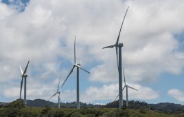 EV manufacturer Rivian buys 50 MW of power from Goose Creek Wind farm